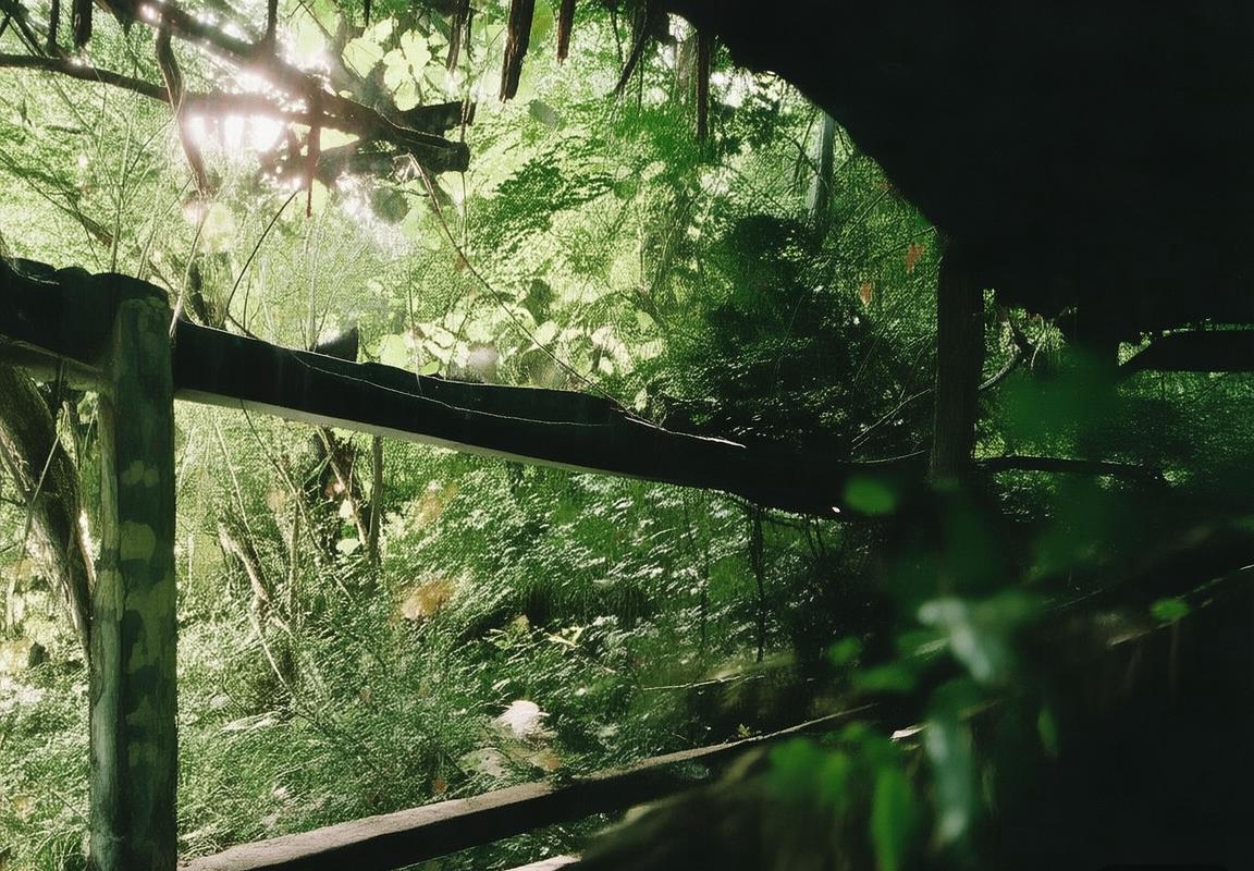 雄鹿队运动观察：密尔沃基雄鹿队追逐杰拉米·格兰特，是否为留住扬尼斯·阿德托昆博的关键布局？